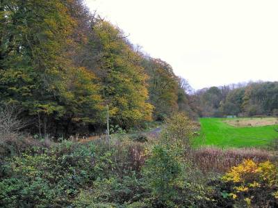 AlmonddellCountryPark2.JPG.jpg