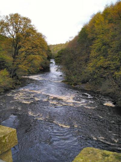 AlmonddellCountryPark3.JPG.jpg