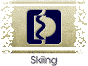 SkiTopic.gif